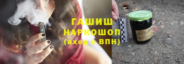 индика Осинники