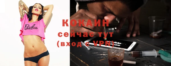 индика Осинники