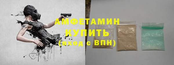 индика Осинники