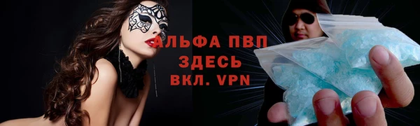индика Осинники