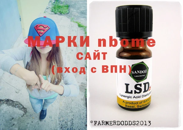 индика Осинники