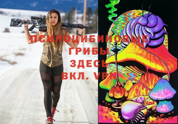 ГАЛЛЮЦИНОГЕННЫЕ ГРИБЫ Пестово