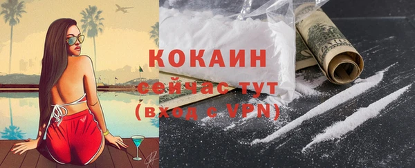 индика Осинники