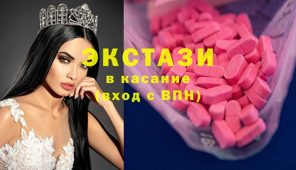 индика Осинники