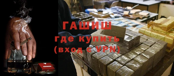 индика Осинники