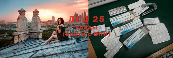 индика Осинники