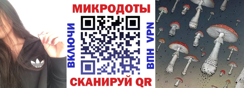 Галлюциногенные грибы мухоморы Купить закладки Зубцов